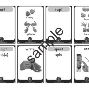 Latin-Set-1-cards-sample