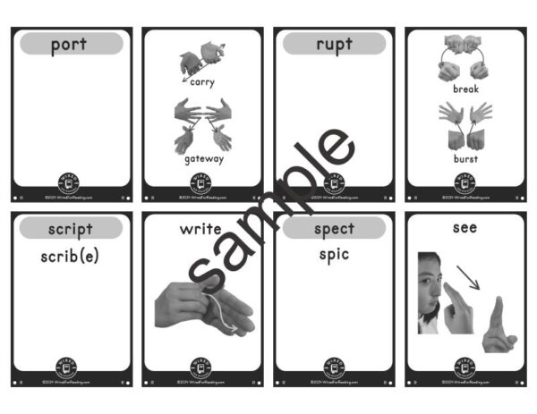 Latin-Set-1-cards-sample