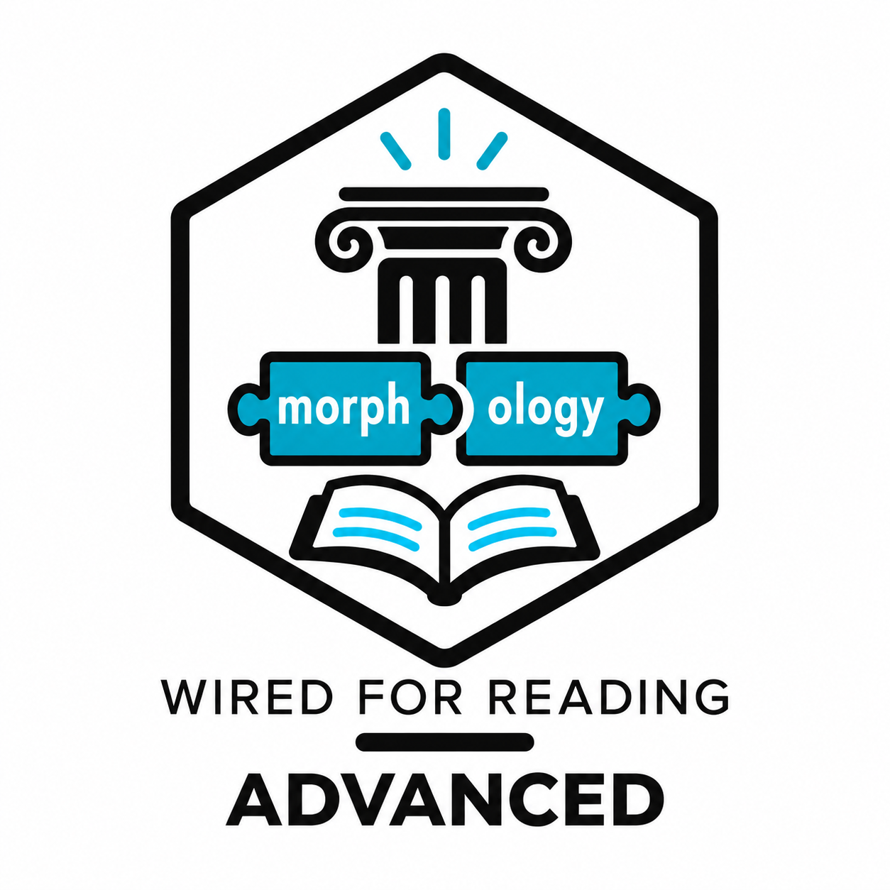 Advanced Course